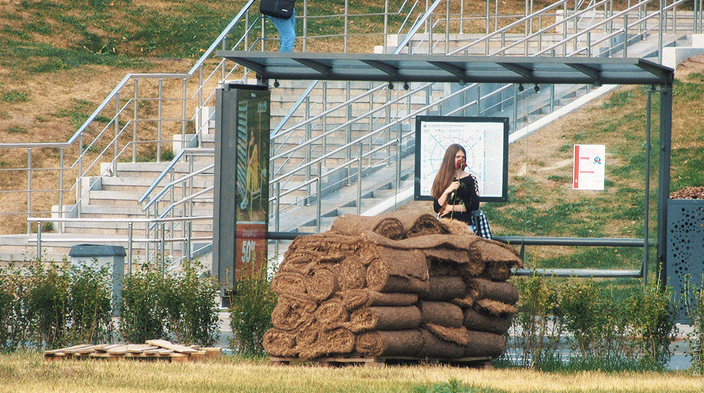 Го агриться о зашкварной жизе языка хомо