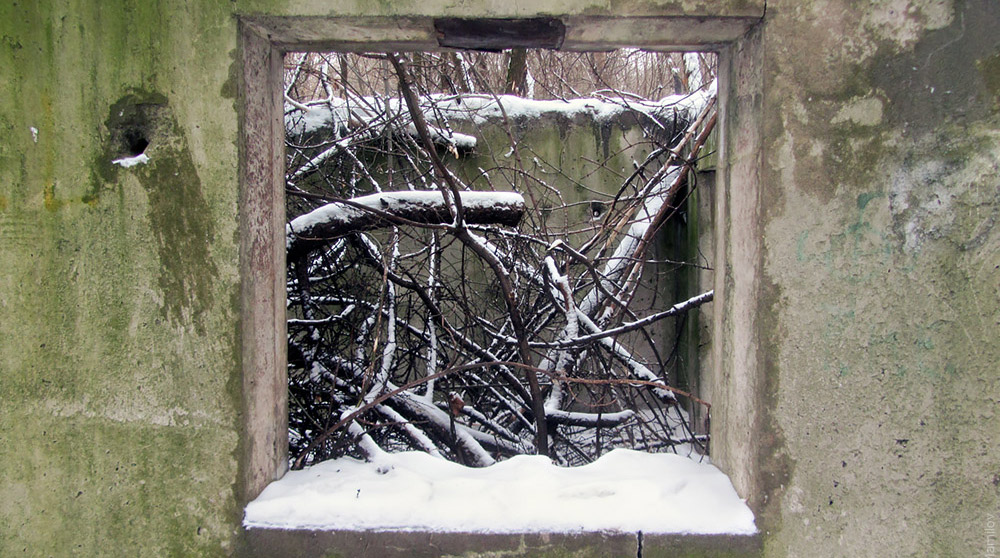 Потребление информации