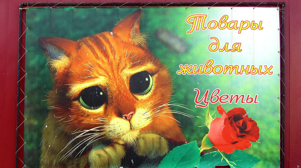 Реклама в блоге