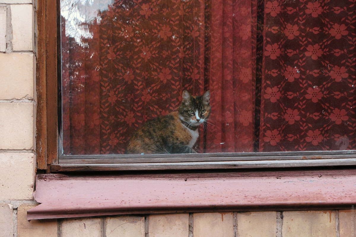 Королев